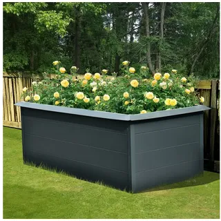 Konifera Hochbeet 200 x 100 x 76 cm Grau