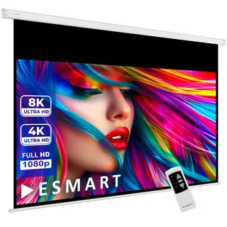 ESMART Professional MIMOTO GRAU Tageslicht-Motor-Leinwand 303 cm Bild 265 x 150 cm (120") 16:9 | Programmierbare Fernbedienung | Heimkino elektrische Beamer Projektionsleinwand Motor Leinwand