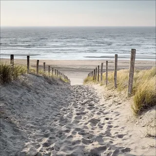 Pro-Art GLA1191ZE Wandbild Glas-Art "Maritim Brand ", bunt