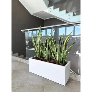 Kloris Blumenkasten, rechteckig, modern, aus Polyethylen, 80 x 30 cm, Höhe 30 cm, Tiefe 17 cm, weiß, hohe Qualität, hergestellt in Italien