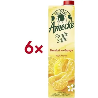 Amecke Sanfte Säfte Mandarine Orange Fruchtsaftkonzentrat 6x 1,0 l
