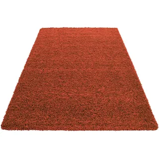 Ayyildiz Hochflorteppich , Terracotta , Textil , Uni , rechteckig , 80x150 cm , Oeko-Tex® Standard 100 , für Fußbodenheizung geeignet, schmutzabweisend, für Hausstauballergiker geeignet, lichtunempfindlich, antistatisch, pflegeleicht, strapazierfähig, leicht zusammenrollbar , Teppiche und Böden, Teppiche, Hochflorteppiche & Shaggys