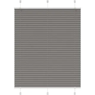 Best Möbel Plissee Anthrazit 110x150 cm Stoffbreite 109,4 cm Polyester - Rollos Cloris Neu5915059 1parcel - Grau