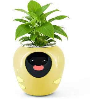 Plantbot Upgraded Large Smart Flower Pot Pet Planter Robot with Artificial Intelligence, Time Temperature Display, and Numerous Expressive Animations Based, for Indoor Decoration, Gifts (Yellow)