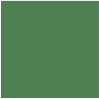 IRISETTE Spannbettlaken Jersey 140 x 200 - 160 x 200 cm Grün