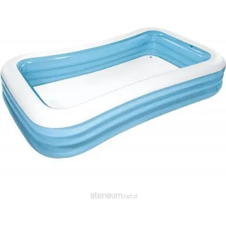 Intex Gefrosteter rechteckiger Pool Planschbecken 305 x 183 x 56 cm (58484)