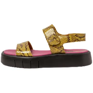 Art für Damen. 11854F4XT003_024 Ledersandalen 1854F Malaga gelb (41), 3 bis 5 cm, Klettverschluss, Lässig