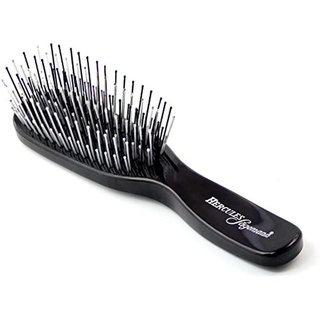 Hercules Sägemann Scalp Brush Piccolo schwarz 8100