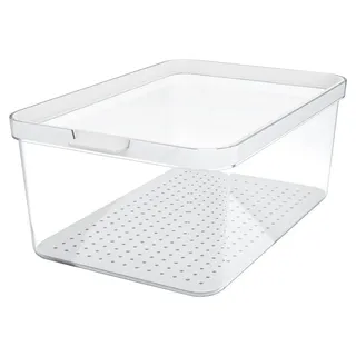 Rotho Frischhaltedose Cauma transparent 28,2 x 18,4 x 11,3 cm 4,65 l