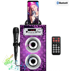 Patryfunlights Bluetooth Karaoke-Party-Lautsprecher - Mikrofon Fernbedienung, pink