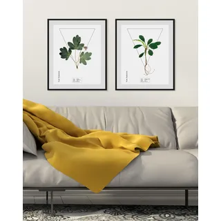 Bild QUEENCE "Aquilegia", grün (farbe rahmen: schwarz, farbe bild(er): grün), B:30cm H:40cm, Acrylglas, Holz, Papier, Bilder, Bild, HD Premium Poster-Druck inkl. Holzrahmen