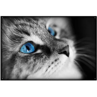 Wallario Outdoor-Poster für Garten oder Balkon, Motiv Schwarz-weiß getigerte Katze mit leuchtend blauen Augen, in ca. 61 x 91,50 cm - Schwarz