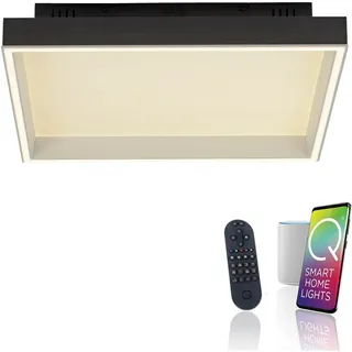 Paul Neuhaus Led-Deckenleuchte 1 rund/quadratisch schwarz