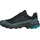 Herren Skychaser GTX Wanderhalbschuh Core Black/Carbon/Pure teal 43 1/3