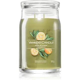 Yankee Candle Sage & Citrus Duftkerze 567 g grün