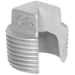 +GF+ plug galvanized 2 1/2''