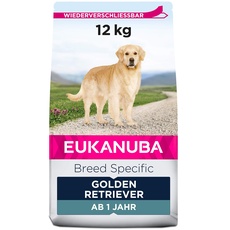 Bild von Golden Retriever 12 kg