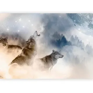 artgeist Fototapete , Grau, Pastellblau , Textil , Tier , 100x70 cm , Ce , Tapeten & Wandverkleidungen, Fototapeten