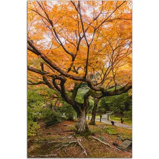 Wallario Outdoor-Poster für Garten oder Balkon, Motiv Gelber Ahornbaum im Herbst in Japan, in ca. 61 x 91,50 cm - Schwarz