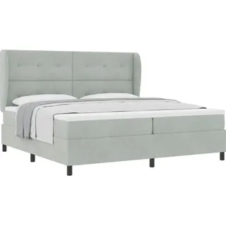 vidaXL Boxspringbett mit Matratze Hellgrau 200 x 200 cm Samt - Hellgrau