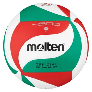 Molten Volleyball