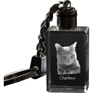 Chartreux - Wanduhr mit Katze, Regal Uhr mit Druck, personalisierte Hausdekoration von Art-Dog.