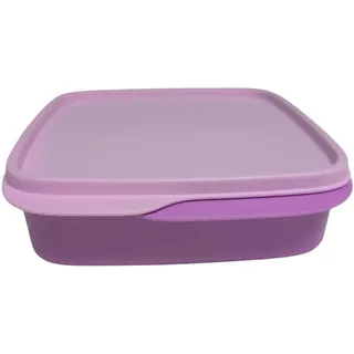 Tupperware to Go Lunchbox clevere Pause 550 ml Brotdose mit Trennwand Eco+ Schule Dose mit Abtrennung (pastell lila 550ml)