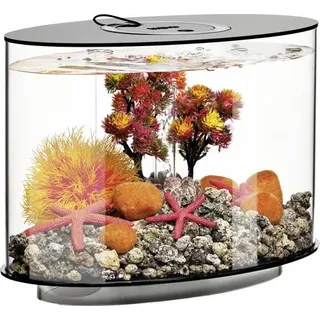 OASE biOrb 86425 biOrb LOOP 15 LED schwarz Aquarium EEK: G (A - G) 15 l mit LED-Beleuchtung