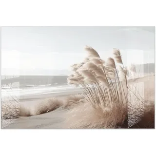 timalo Küchenbild aus Acrylglas modernes Wandbild Glasbild Deko Küche XXL Bild wie Glas | 120x80cm Natur & Strand – Pampasgras, Meer, Sanddünen, Beige Töne, Boho