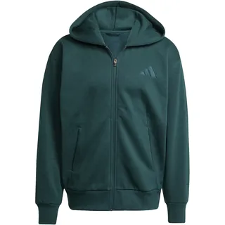 adidas Herren Kapuzensweat ALL SZN, AURIVY, XXL