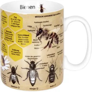 Könitz - Wissensbecher Bienen