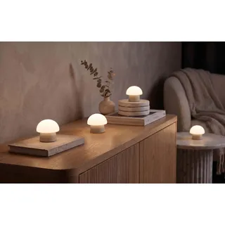 Northpoint Mushroom Lounge Lights LED Pilzleuchten mit Ladestation USB-C Akku IP44 für Innen Außen Touch Sensor warmweiß Farbwechsel Flackereffekt Tischlampe Garten Balkon Deko (beige)