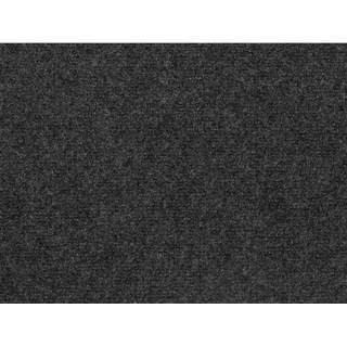 Andiamo Teppichboden Nadelfilz Milo Anthrazit 200 cm x 400 cm