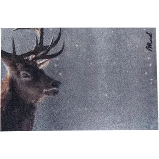 Mad about Mats Fußmatte Colt, Türvorleger, Schmutzfangmatte, Winter, Tiermotiv, Hirsch, Geweih, Grau, Outdoor, Haustür, Jagd, rutschfest, waschbar, 50 x 75 cm, Greige