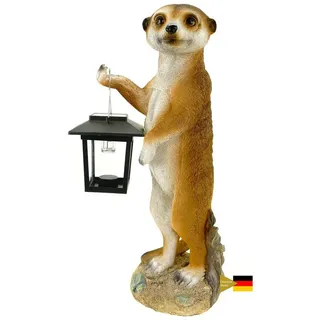 Kremers Schatzkiste Erdmännchen Eddy Gartenfigur mit LED Solarlaterne Wetterfest Handbemalte Polyresin-Deko 38 cm Dämmerungssensor Kaltweißes LED-Licht Perfekt für Garten Terrasse oder Geschenkidee