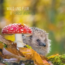 Wald und Flur 2024 - Broschürenkalender 30x30 cm (30x60 geöffnet) - Kalender mit Platz für Notizen - Forest Animals - Bildkalender - Wandkalender