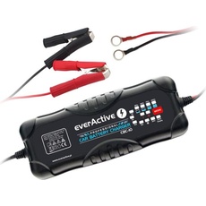 Everactive, Batterieladegerät, Rectifier car for batteries CBC-10 (12V, 24V, 10 A)