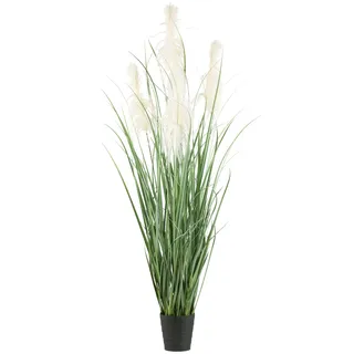 Creativ green Kunstgras »Pampasgras« mit fünf Pampasgrasblüten, grün