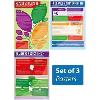 Daydream Education Poster"Debates in Psychologie", laminiertes Glanzpapier, 850 mm x 594 mm (A1)