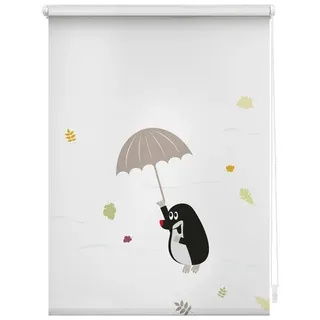 Lichtblick ORIGINAL Seitenzugrollo »Rollo Klemmfix, ohne Bohren, blickdicht, Maulwurf - Bunt« blickdicht Blendschutz Sichtschutz freihängend, bunt