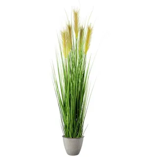 Dekogras , Grün , Kunststoff , 150 cm , Dekoration, Blumen & Blumentöpfe, Dekogras