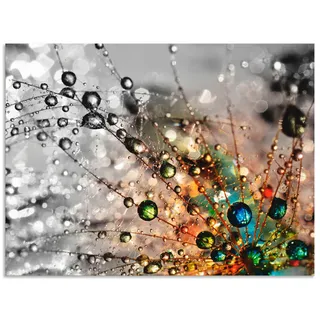 Artland Wandbild »Farbenfrohe Natur« Blumen 1 Stk. tlg. als Alubild, Leinwandbild, Poster in verschied. Größen, bunt