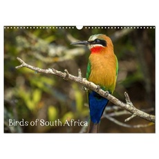 Birds of South Africa (Wall Calendar 2024 DIN A3 landscape), CALVENDO 12 Month Wall Calendar