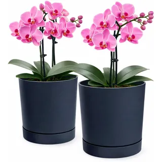 PECZEKO Blumentopf matt, Pflanzkübel aus Übertopf Kunststoff Dekorativer Topf für, groß und klein Pflanzen, 2er-Set blumenkübel, blumenkübel kräutertopf (2 Pack) Anthrazit, ø 18 cm