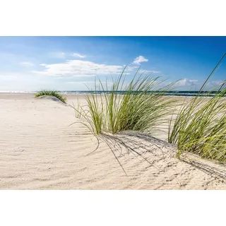 Papermoon »DÜNEN-NATUR NORD SEE SAND STRAND MEER WÜSTE LANDSCHAFT«, bunt,