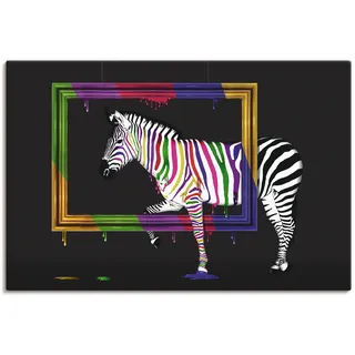 ARTland »Das Regenbogen Zebra«, 120x80cm