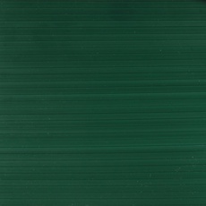 Bild von Sichtschutzstreifen PVC, LxH: 251,5 x 19 cm - gruen