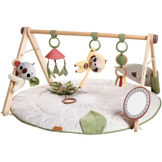 Tiny Love Luxe Developmental Gymini,