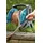 Comfort FLEX Gartenschlauch 30 m orange