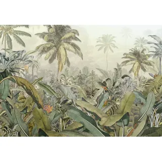 KOMAR Vlies Fototapete Amazonia 368 x 248 cm